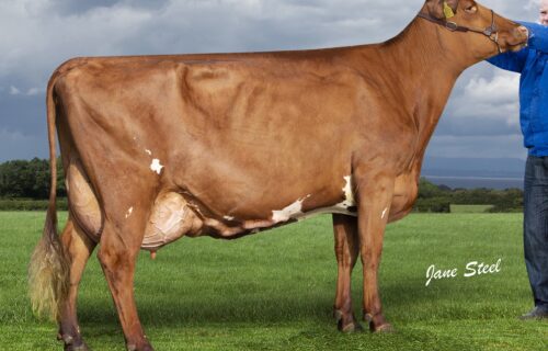 Dam Cochranes Revolution Present