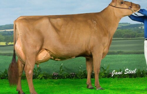 Daughter - Changue Martha 49