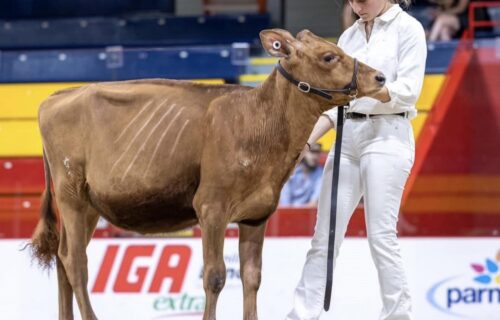 Daughter - Margot Crispers