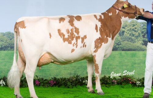 Daughter - Ardmore Dorothy 79