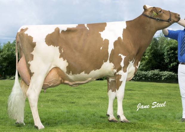 Cuthill Towers Classic Ellie EX92