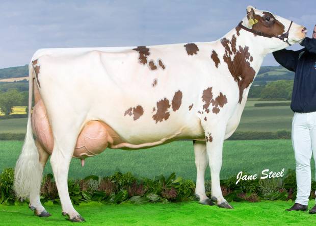 Cuthill Towers Crown Ray EX94 2