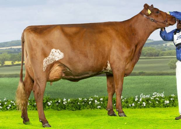 Reserve, D6 Fineview Skyfall April 2  owned by R & S Clark