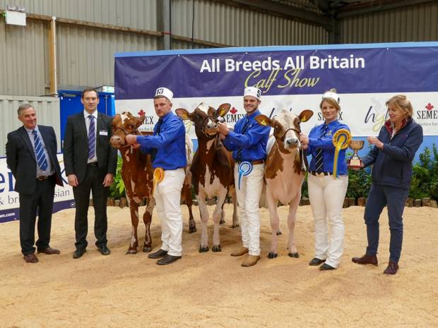 A Hat Trick for Cattle Services Sires