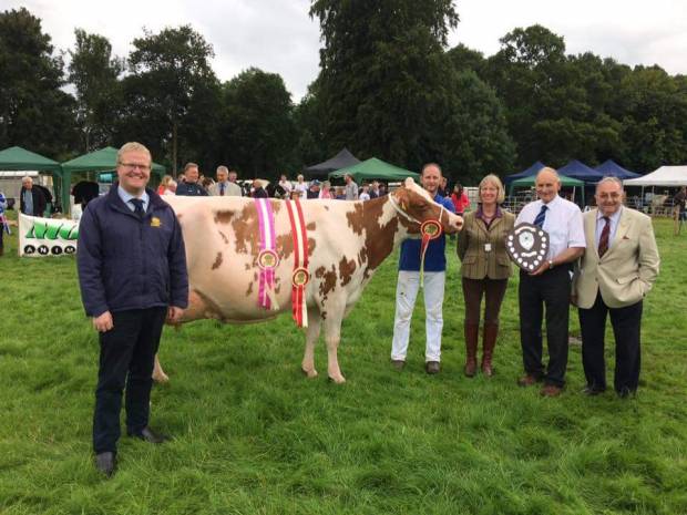 Interbreed Champion at Antrim for the Hunter Family