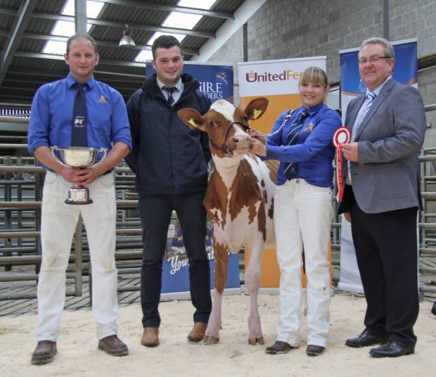 Ardmore continues winning form at Ayrshire calf show