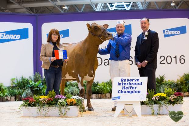 Colin & Katie Davidson with Interbreed judge Ashley Fleming
