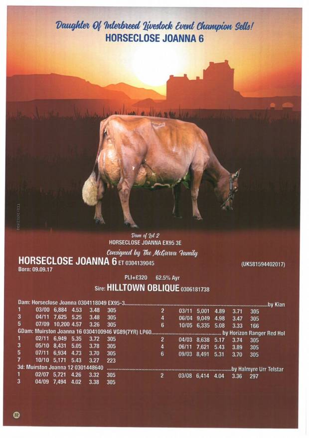 Horseclose Joanna 6 Sells