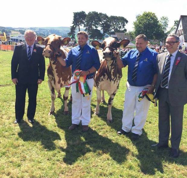 Willhome Ayrshires Are Awarded The Interbreed Pairs Championship At This Year's Royal Welsh Show