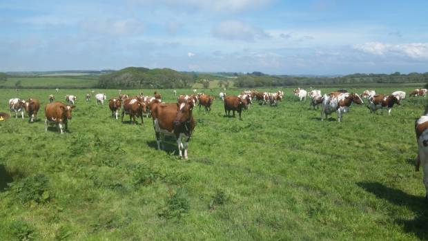 Marlbrook Herd Dispersal Catalogue available now