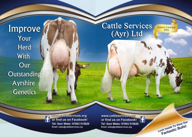 Cattle Services New August Catalogue Is Out Now