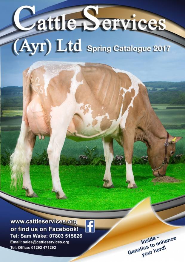 Spring Brochure Available Now