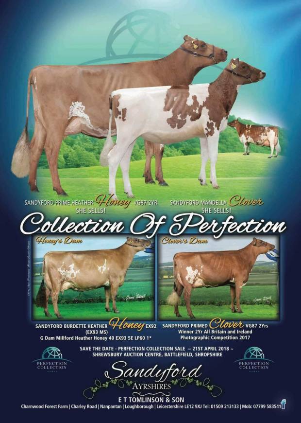Perfection Collection Sale Saturday 21st April 2018