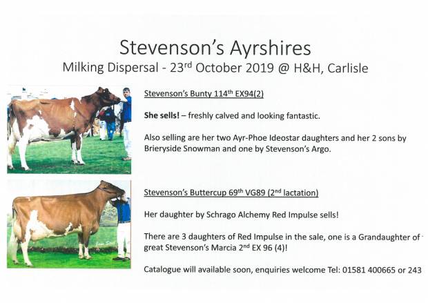 Stevenson's Milking Dispersal Sale - Catalogue available now