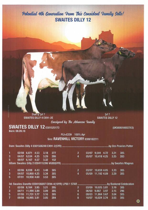 Swaites Dilly 12 Sells