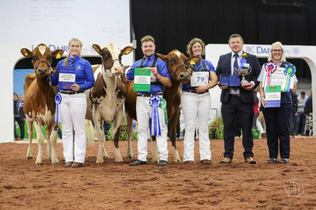 Heifer Championship winners