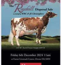 The Rosehill dispersal sale Friday 6th December - Exeter Livestock Centre