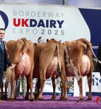 Borderway Dairy Expo 2025